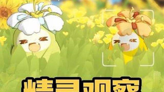 洛克王国精灵生态观察：菊花梨2.0。没想到这么快就等到了菊花梨的异色，那希望之后有更多不同形态的菊花