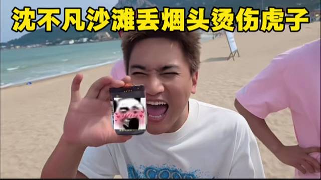 沈不凡沙滩丢烟头烫伤虎子