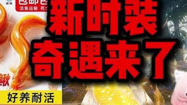 买完就是当泥鳅来