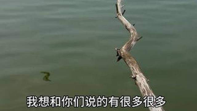 小希随笔 2