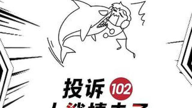 板板向鲨鱼复仇，扭头却见陪陪跟鲨鱼亲嘴？！！【小炬客服投诉单102】
