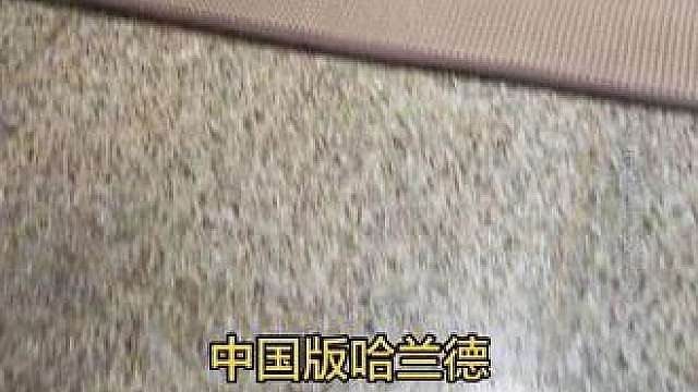 世界杯花式看球指南