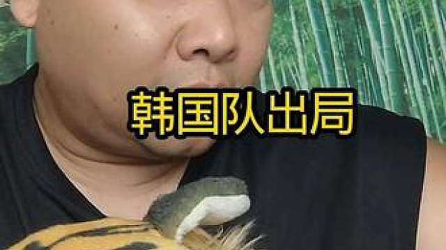 克罗地亚2:1加纳 雄心勃勃韩国队，开局打的挺顺利，门将失误送大礼，不堪重用孙兴慜。