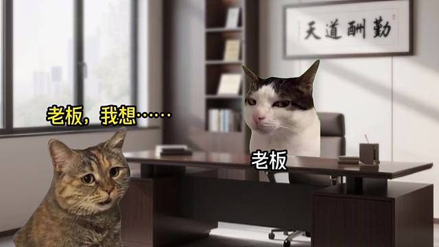 当你决定离开城市回乡下…… #猫meme