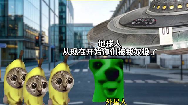 当外星人占领地球 #猫meme#AI