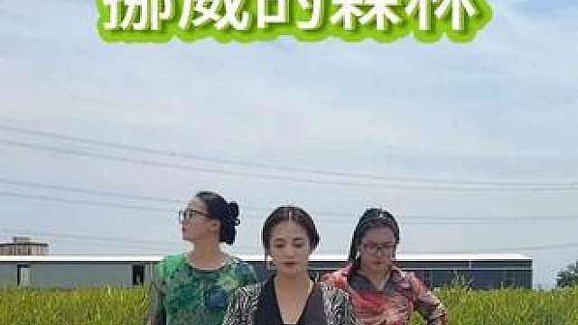 不齐大妈团就是不齐，大家别笑话啊，实打实的不齐！