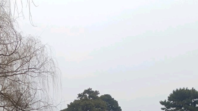 长腿