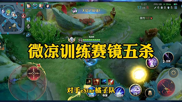 微凉训练赛镜五杀！久违了微凉！