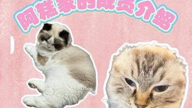 变成平静的咪和汪这一刻要吃多少大逼兜