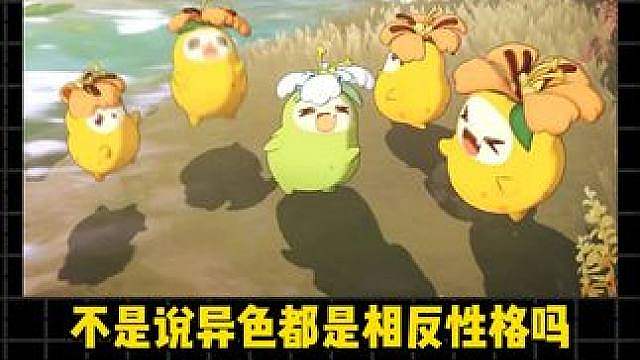 不是说异色都是相反性格吗，异色菊花梨是什么情况