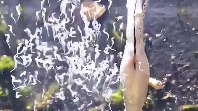 这生孩子跟闹着玩一样！