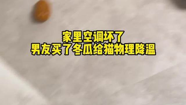 听说冬瓜能降温 于是…