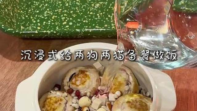穷养小狗冬瓜莲子口蘑酿肉汤全家光盘