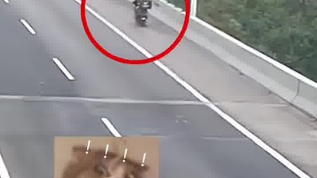 外卖骑手跟随导航去宁波，结果误入跨海大桥高速
