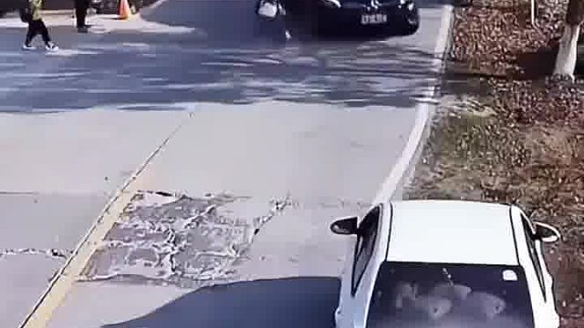 感谢司机不杀之恩