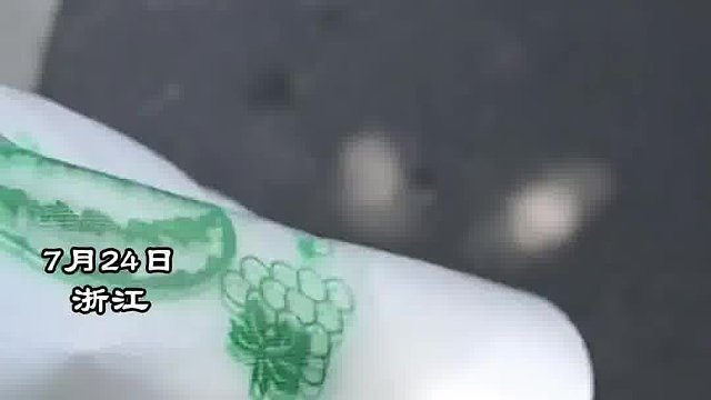 大爷说瓜有问题被老板当众揭穿谎言，不但包装袋不一样瓜形也不一样，老板：买次品瓜 一连几天来换瓜