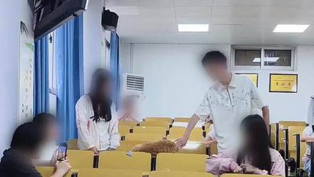 小猫快醒醒呀，不要扰乱考场秩序！