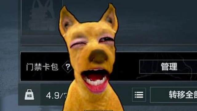 倒霉熊不是停播了吗...