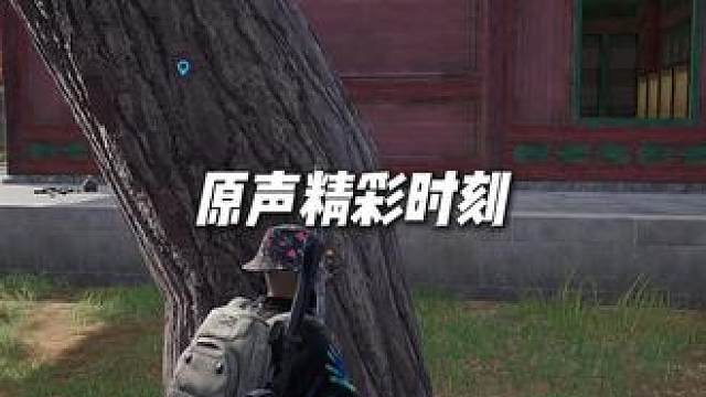 原声精彩时刻