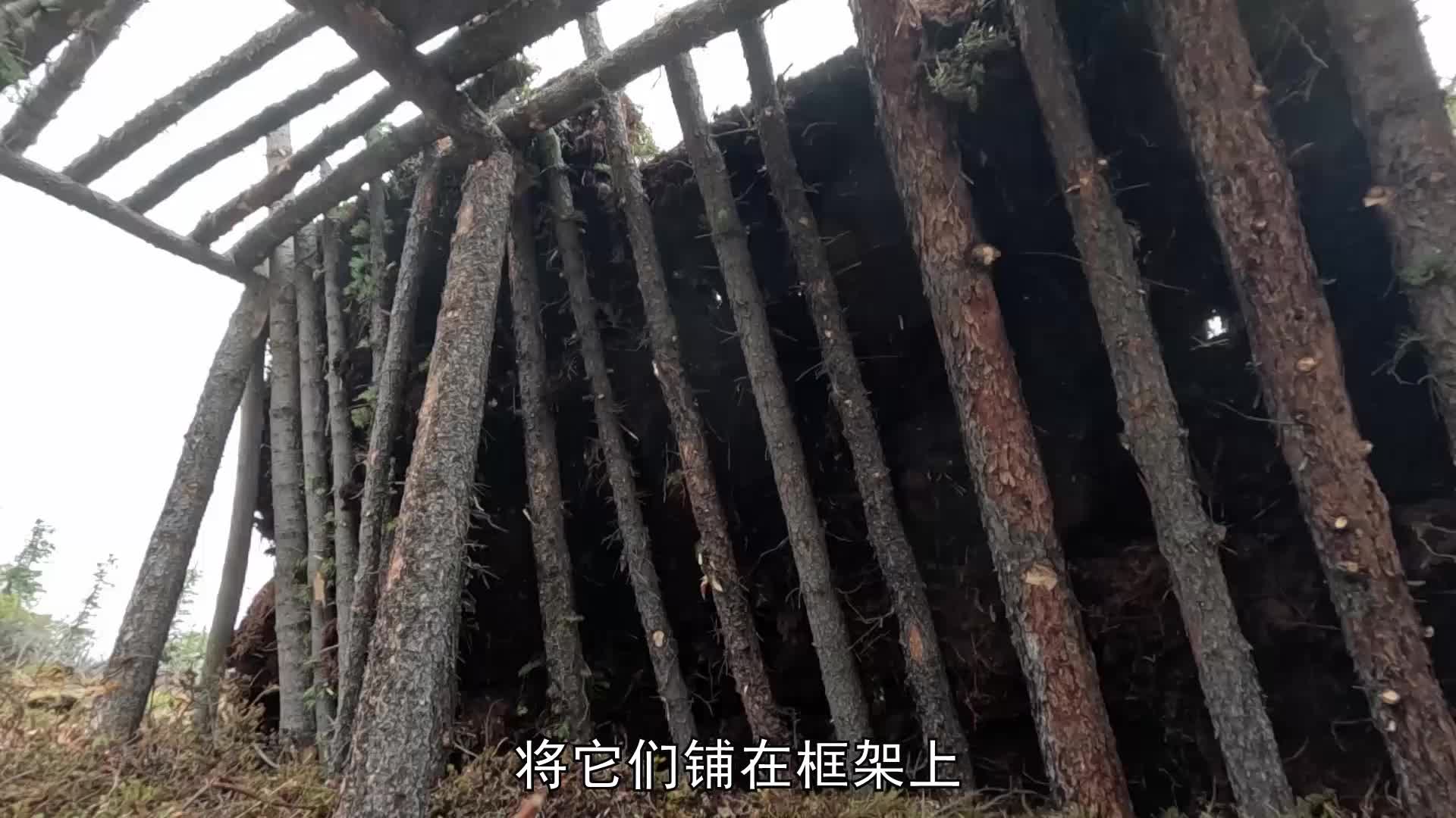 荒野独居第十三季03：食物多的根本吃不完