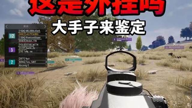 有没有大手子帮忙鉴定一下 这是不是外挂 为什么我打不过
