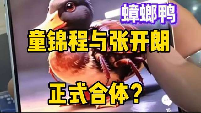 童锦程798与张开朗233“正式合体”，蟑螂与鸭结合！
