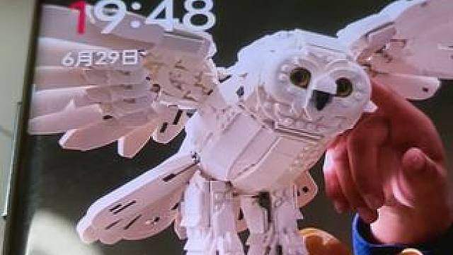 发烧反复 这周与下周的休息都取消，希望大家可以理解一下，我也很想直播，但我身体实在扛不住。我在这里大