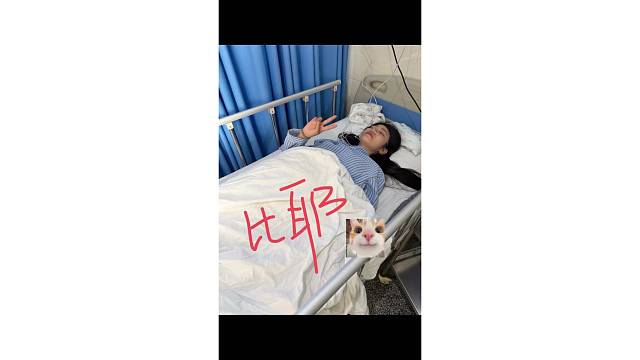 小锦鲤骨折治疗中