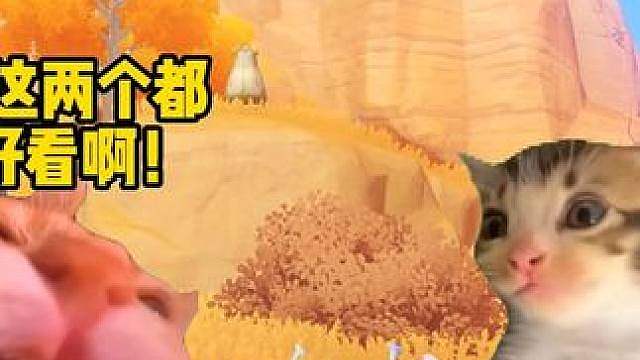 你的菊花梨是什么颜色