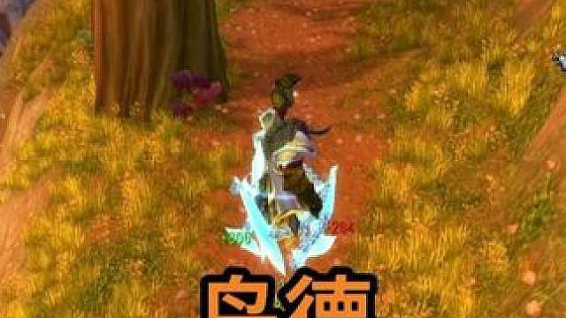 鸟德大战血DK PVP解说