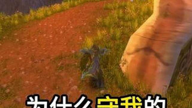 为什么守我的都是惩戒骑 PVP解说