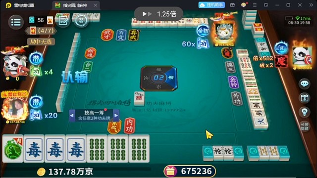 功夫麻将