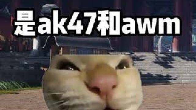 当燕云要出双枪武学时