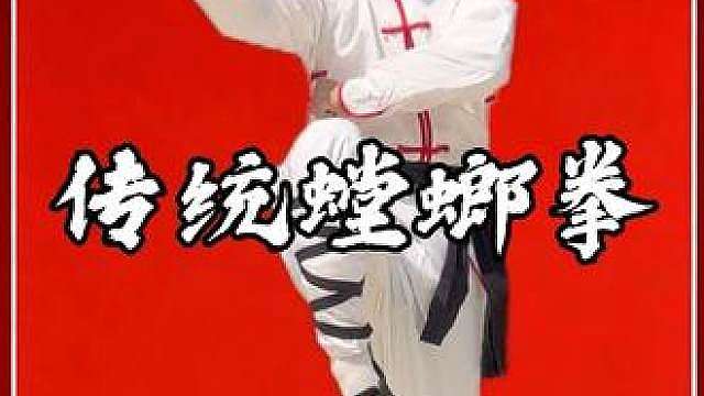 螳螂拳：模仿螳螂捕猎姿态的象形拳