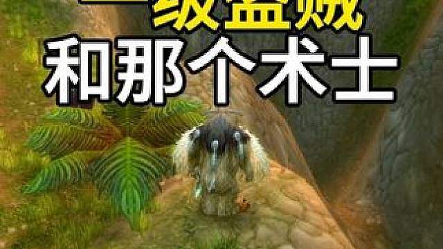 一级盗贼和那个术士 PVP解说