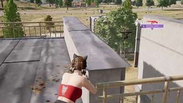 本来是个温柔的女孩子 直到我打开了pubg