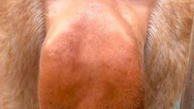 纳总带你轻松游长隆 暑假趣广州长隆，哇一夏!
和白虎共进早餐;看500多种珍稀动物;
畅玩全球人气王