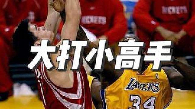 真·大打小高手