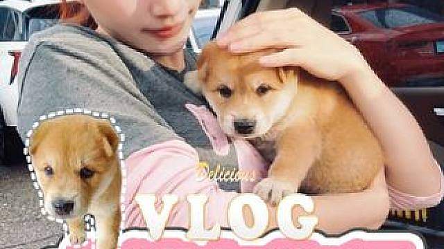 大猜我呀终于有狗啦vlog人生小心愿清单 我只希望你能健康快乐的长大