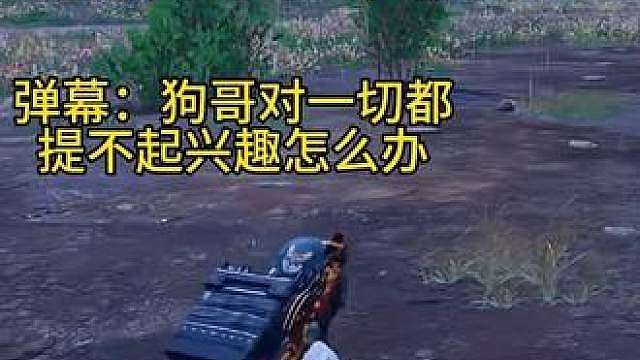 狗哥是一个思想纯正之人因为狗哥很正？！