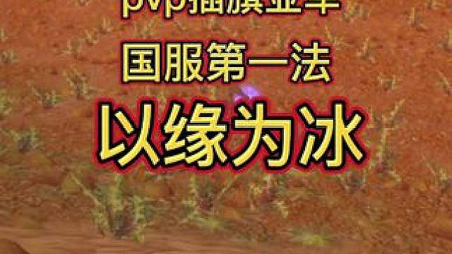 pvp亚军法师！