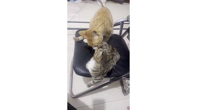 不好意思