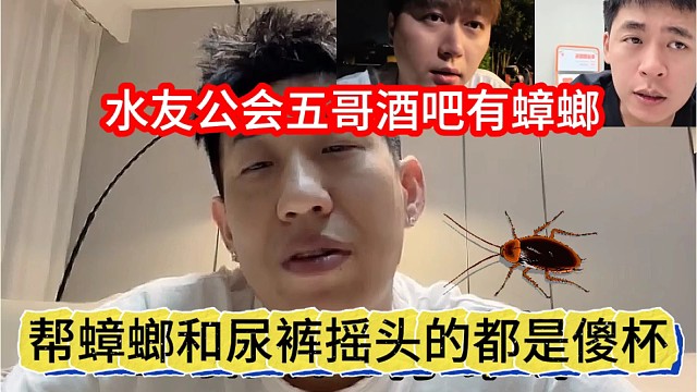 帮尿裤和蟑螂摇头的都是傻杯，在石250锐评
