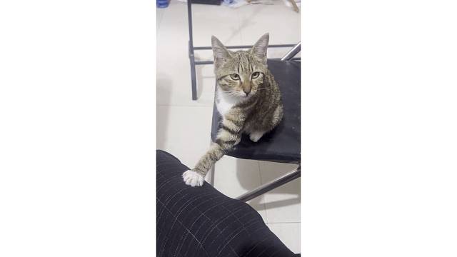 几个意思