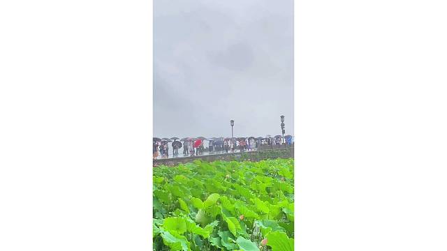 雨西湖