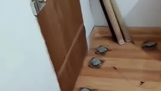 插翅难逃