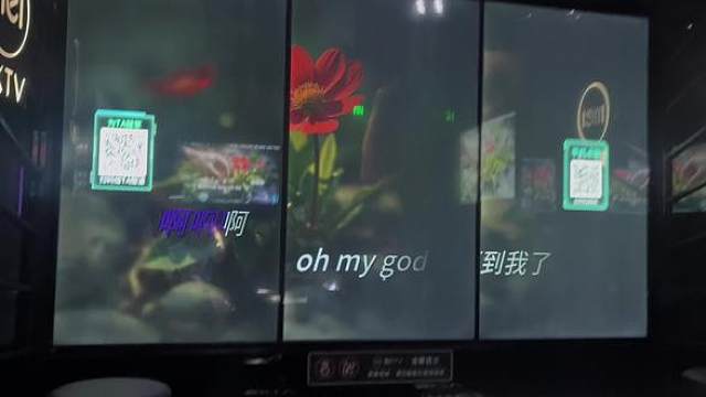 我真的笑的好崩溃