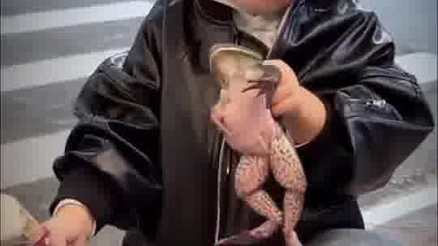 手里的蛤蟆瞬间就不香了。
