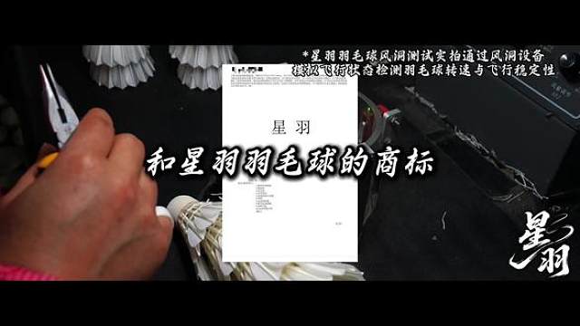 兄弟们，商标已经拿下，静待花开！