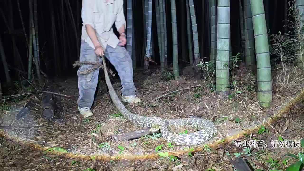 猛货